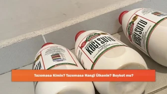 Tazemasa Kimin? Tazemasa Hangi Ülkenin? Boykot mu?