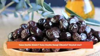 Tuna Zeytin Kimin? Tuna Zeytin Hangi Ülkenin? Boykot mu?