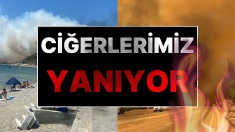 Türkiye'yi Sardı Alevler: 4 İlde Çıkan Yangınlar Korkuttu!