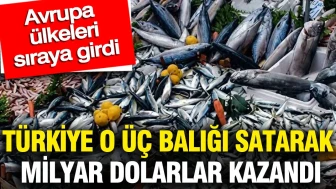 Türkiye, Üç Balıkla Milyar Dolar Gelir Elde Etti: Avrupa Ülkeleri Taleplerini Sıraladı!