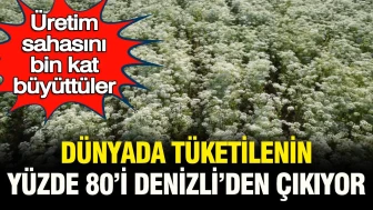 Denizli, Üretim Kapasitesini 1000 Kat Artırdı: Dünya Tüketiminin Yüzde 80'i Burada Gerçekleşiyor!