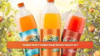 Yedigün Kimin? Yedigün Hangi Ülkenin? Boykot mu?