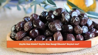 Zeytin Han Kimin? Zeytin Han Hangi Ülkenin? Boykot mu?