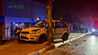 Denizli’de Kontrolden Çıkan Otomobilin Sürücüsü Yaralandı!
