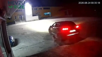 Giresun'da Yürekleri Dağlayan Olay: Kapının Geç Açılması Sinir Krizine Yol Açtı, Bir Köpek Hayatını Kaybetti!