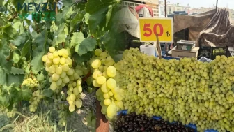 Mersin'deki Üzüm Rekoltesindeki Artış Fiyatları Düşürüyor: Tarlada 10 TL, Şehir Merkezinde 100 TL!