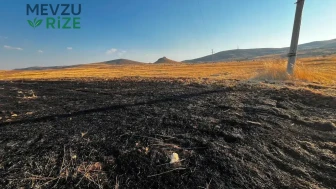 Eskişehir'de Elektrik Telleri Alev Alev Yandı, Mahalle Sakinleri Yangına Müdahale Etti!