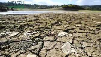 Kuraklık Sergilediği Ekonomik Etkilerle Avrupa'yı Sarsıyor: Nükleer Enerji Üretimi Durma Noktasında!