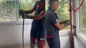 Hatay Dörtyol'da Bir Evde Yılan Görülmesiyle Paniğe Neden Oldu!