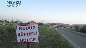 Ardahan'da Kuduz Tehdidi: Belirli Bir Bölge Karantinaya İndirildi