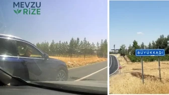 Diyarbakır'da kuduz vakasını haber yapacaktı: Mahalle çıkışında muhabirin aracını tarlaya sürüklediler