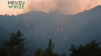 Kemer'de Yangın Alarmı: Hava ve Kara Ekipleri Alevlere Müdahale Ediyor!