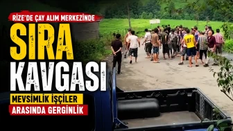Rize'de Çay Alım Merkezinde Sıra Kavgası: Mevsimlik İşçiler Arasında Gerginlik