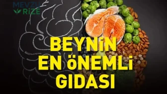 Zihinsel Düşünceyi Destekleyen Besinler: Alzheimer'la Mücadelede Hangi Gıdalar Öne Çıkıyor?