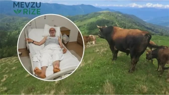 Gürşe Alanı'na Giderken Saldırıya Uğrayan Birey, Oğlunun Cesaretiyle Kurtuldu!