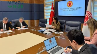 TBMM Dilekçe Komisyonu'na sıra dışı başvurular: İstanbul kış başkenti, Ankara yaz başkenti olsun!