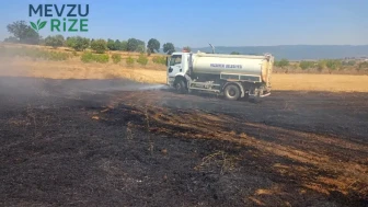 Bilecik'te Anız Yangını Etrafa Yayılmadan Kontrol Altına Alındı