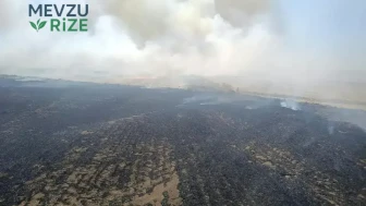 Afyonkarahisar'da Çıkan Anız Yangını 100 Dekar Tarım Alanını Etkiledi
