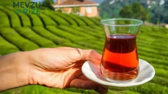 Çay Fiyatlarındaki Dalgalanmaların Arkasındaki Nedenler Neler?