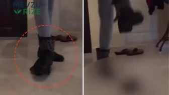 Kaplumbağaya Zarar Veren Kadının Görüntüleri Sosyal Medyada Büyük Tepki Topladı!