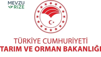 Tarım ve Orman Bakanlığı 2026 Personel Alım İlanı: Başvuru Tarihleri ve Şartlar Açıklandı!