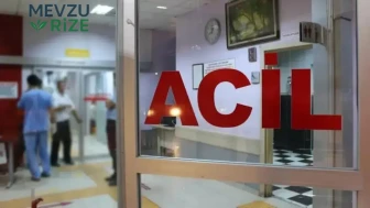 Artvin'de ATV Kazası: 17 ve 11 Yaşındaki Kardeşler Uçuruma Devrildi, Yaralılar Hastaneye Sevk Edildi!