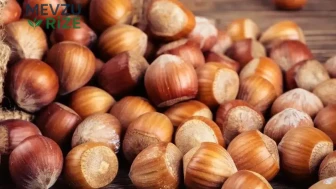 Fındık piyasasında yeni gelişmeler : Giresun'da fiyat 250 TL'yi aştı
