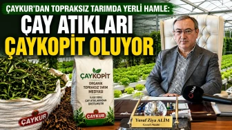 ÇAYKUR’dan Topraksız Tarımda Yerli Hamle: Çay Atıkları ÇAYKOPİT Oluyor