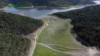 İSKİ'den Güncel Durum: 5 Ağustos'ta İstanbul Barajları'nın Doluluk Oranı Ne Kadar?