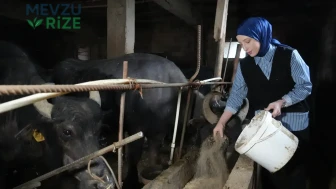 Bayburt'un "Mandalı Kızı": Köyünün Sembolü Haline Geldi