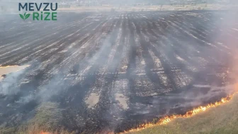 Kastamonu'nun Tosya ilçesinde Tarım Alanları Alev Alev Yandı: 400 Dönüm Zarar Gördü!