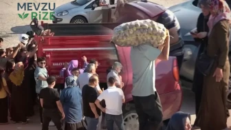 Amasya'da Genç Çiftçiden Örnek Davranış: 150 Bin Liralık Patatesi Ücretsiz Dağıttı!