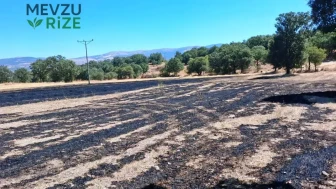 Kütahya’da Anız Yangını Kontrol Altına Alındı: 5 Dekar Alan Zarar Gördü
