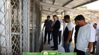 Güroymak Belediyesi Hayvan Bakımevinde 128 Köpeğe Özenle Bakılıyor