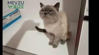 Trabzon’da Yürekleri Dağlayan İnsanlık Dramı!