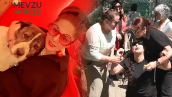 İstanbul'da Yürekleri Dağlayan Durum: 10 Yıldır Sahiplenip Baktığı Köpeğini Barınakta Ölü Bulan Kişi Sinir Krizi Geçirdi
