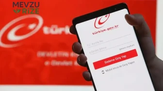 E-Devlet Sistemi Erişim Sorunlarıyla Karşı Karşıya: Kullanıcılar Neden Giremiyor?