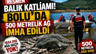 Resmen balık katliamı: Bolu'da metrelik ağ imha edildi