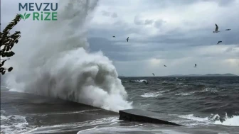 İstanbul'da fırtına alarmı: Korular ve kent ormanları ziyarete kapatıldı