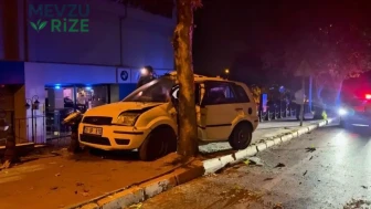 Araç Kontrolden Çıktı, Ağaçla Çarpıp Durabildi: 1 Kişi Yaralandı