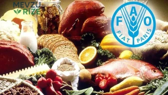 FAO'dan Kapsamlı Uyarı: Yılsonunda Gıda Fiyatlarında Artış Bekleniyor mu?