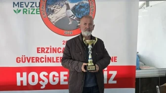 Erzincan'da Arı Sokması Sonucu Bir Kişi Hayatını Kaybetti