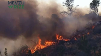 Belçika Meclis Komisyonu, Devasa Orman Yangını Nedeniyle Acil Toplantı Düzenledi