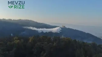 Aydın'daki Orman Yangını İkinci Gününde: Müdahale Çalışmaları Devam Ediyor