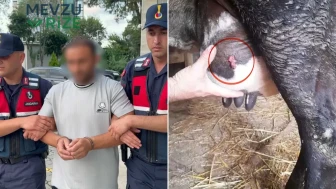 Ayva Dalı Cinayetinde Şok Edici Yeni Bilgi: Kurşun İneğin Memesinden Bulundu!