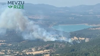Çanakkale'de Tarım Arazilerinde Meydana Gelen Yangın Söndürüldü