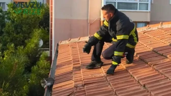 Erzincan'da Kalpleri Isıtan Anlar: Çatıda Sıkışan Yavru Kedi Kurtarıldı!
