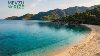 Ege'nin keşfedilmeyi bekleyen Filiz Koyu neden bu kadar popüler?