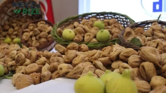 Kuru İncirin İlk Sezon Fiyatı Açıklandı: Kilo Başına 850 TL!