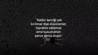 En Keskin Kinayeli Sözler | İnce Göndermeli ve İğneleyici Mesajlar